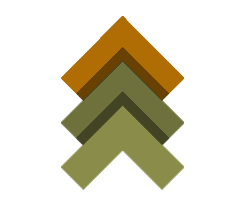 PriCcare_Logo-1